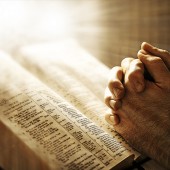 Suspendisse arcu nisl