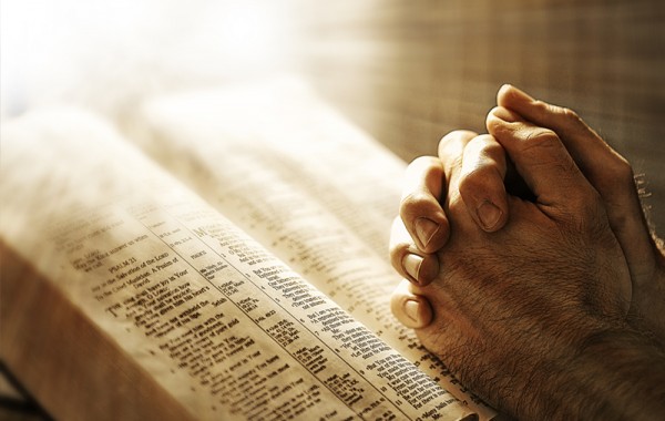 Suspendisse arcu nisl