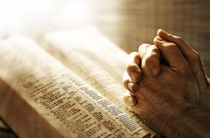 Suspendisse arcu nisl