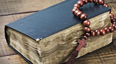 Sed blandit massa vel