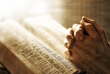 Vestibulum molestie lacus aenean nonummy