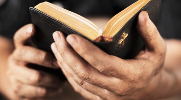 Etiam commodo convallis